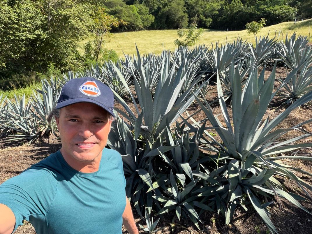 Proyecto de agave abre nueva oportunidad económica y comercial para el sur del país y la República Dominicana