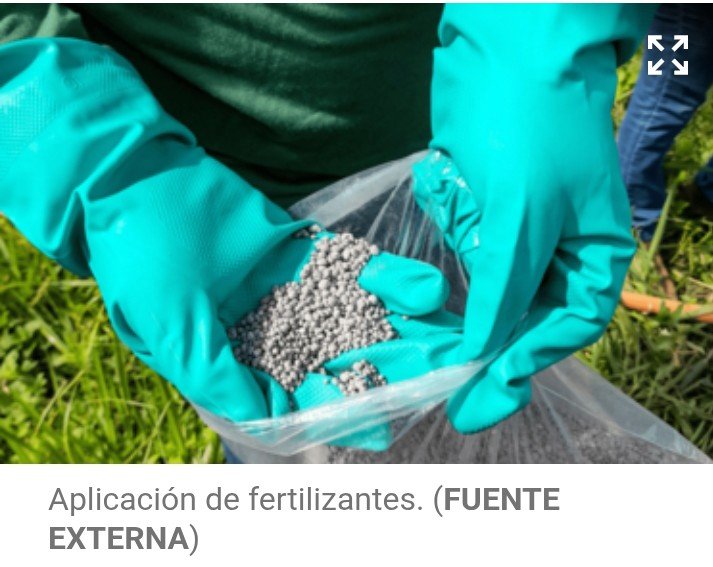 República Dominicana blinda su campo: subsidio millonario a fertilizantes amortigua impacto de la guerra global y el gobierno enfrenta la crisis porcina