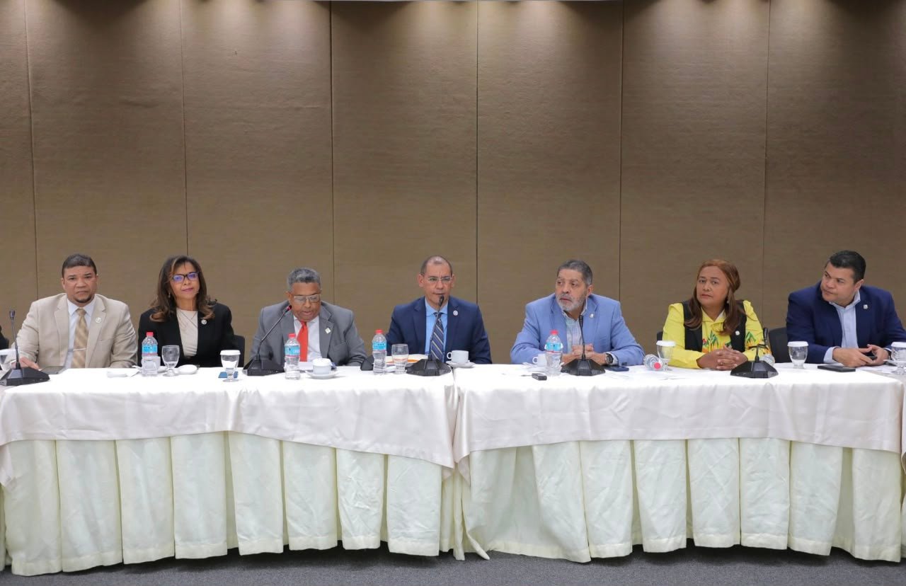 ICPARD expone sus observaciones al proyecto de ley que propone crear el Colegio de Contadores Públicos Autorizados de la República Dominicana